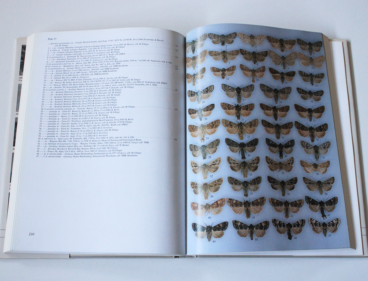noctuidae europaeae vol.8.1